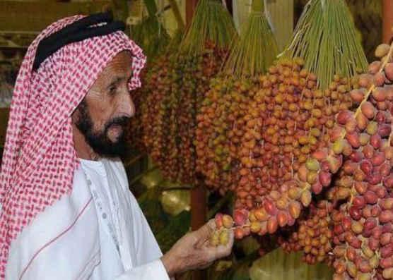 迪拜人吃瓜,品味奢华生活中的甜蜜时光