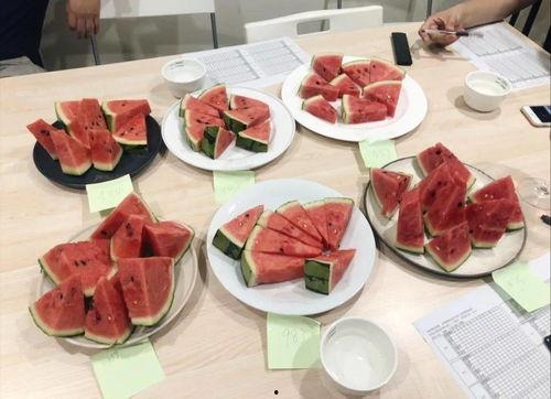 吃美食讲大瓜,探寻美食背后的故事与秘密