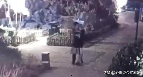 高速吃瓜现场完整视频,惊险瞬间全程回顾